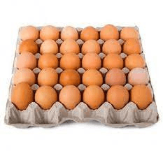 Eggs